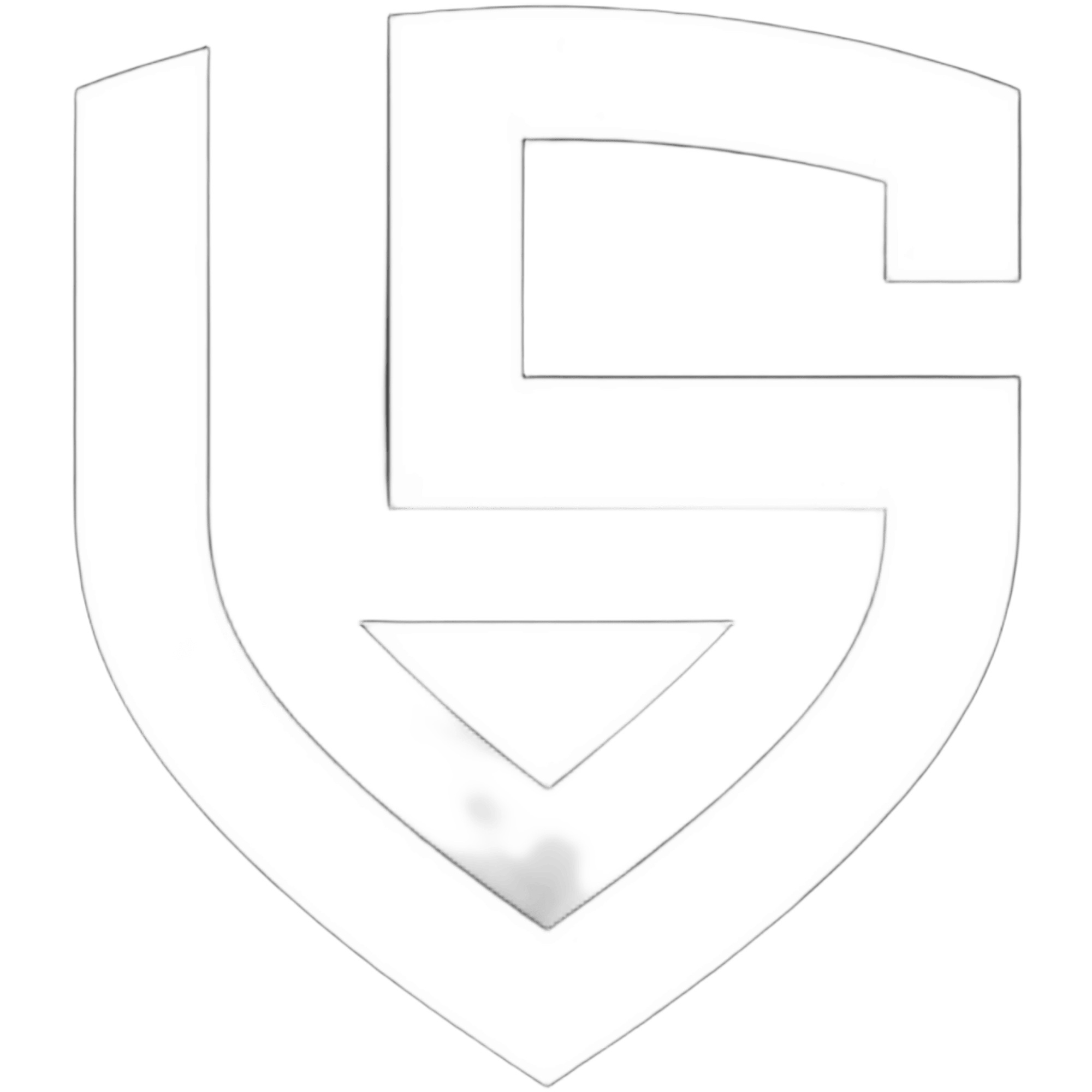 LS Logo
